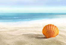 测试攻略文章测试测试攻略文章测试