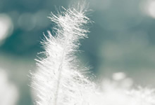 测试攻略文章测试测试攻略文章测试测试攻略文章测试